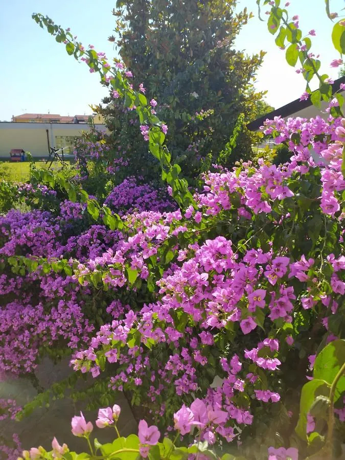Villa La Bouganville Camaiore Alojamento de Acomodação e Pequeno-almoço